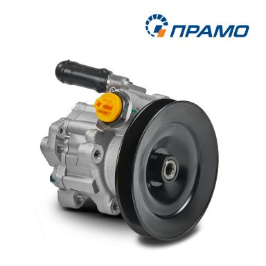 Насос гидроусилителя руля 7691.955.375