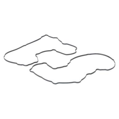 Прокладка клапанной крышки LES 22003