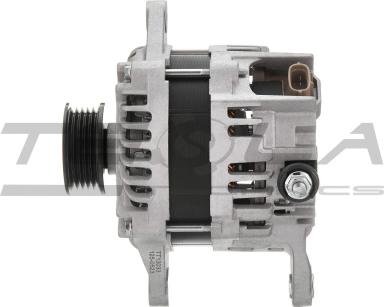 Генератор TT13033