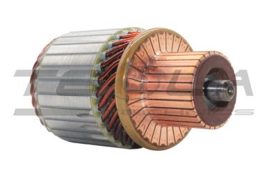 Ротор стартера TT71753