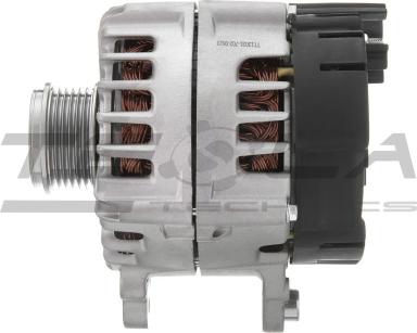 Генератор TT13031