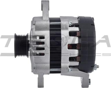 Генератор TT12006