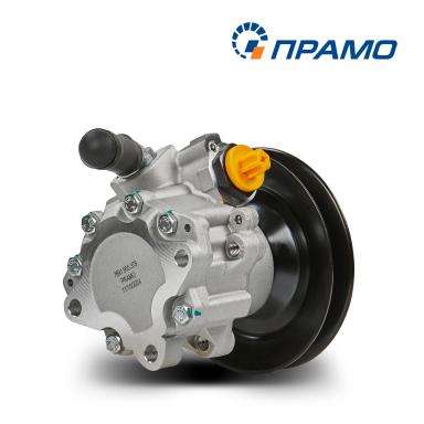 Насос гидроусилителя руля 7691.955.375