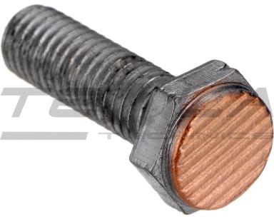 Болты электромагнита TT88331