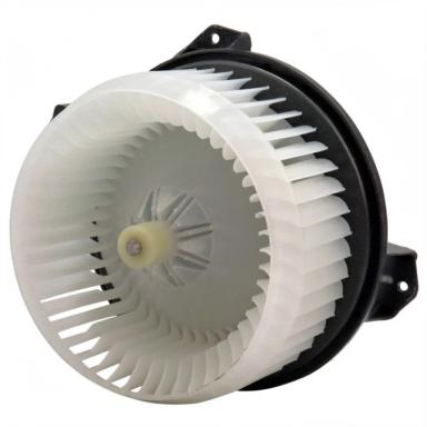 Мотор отопителя TT21043